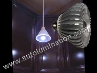 PAR 30 LED Flood Light Bulb